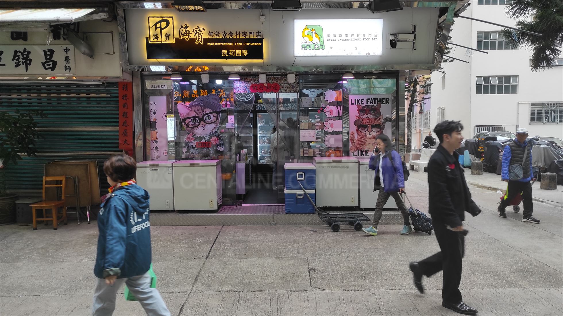 屯门德政围的相片资料｜商铺楼盘｜中原工商铺