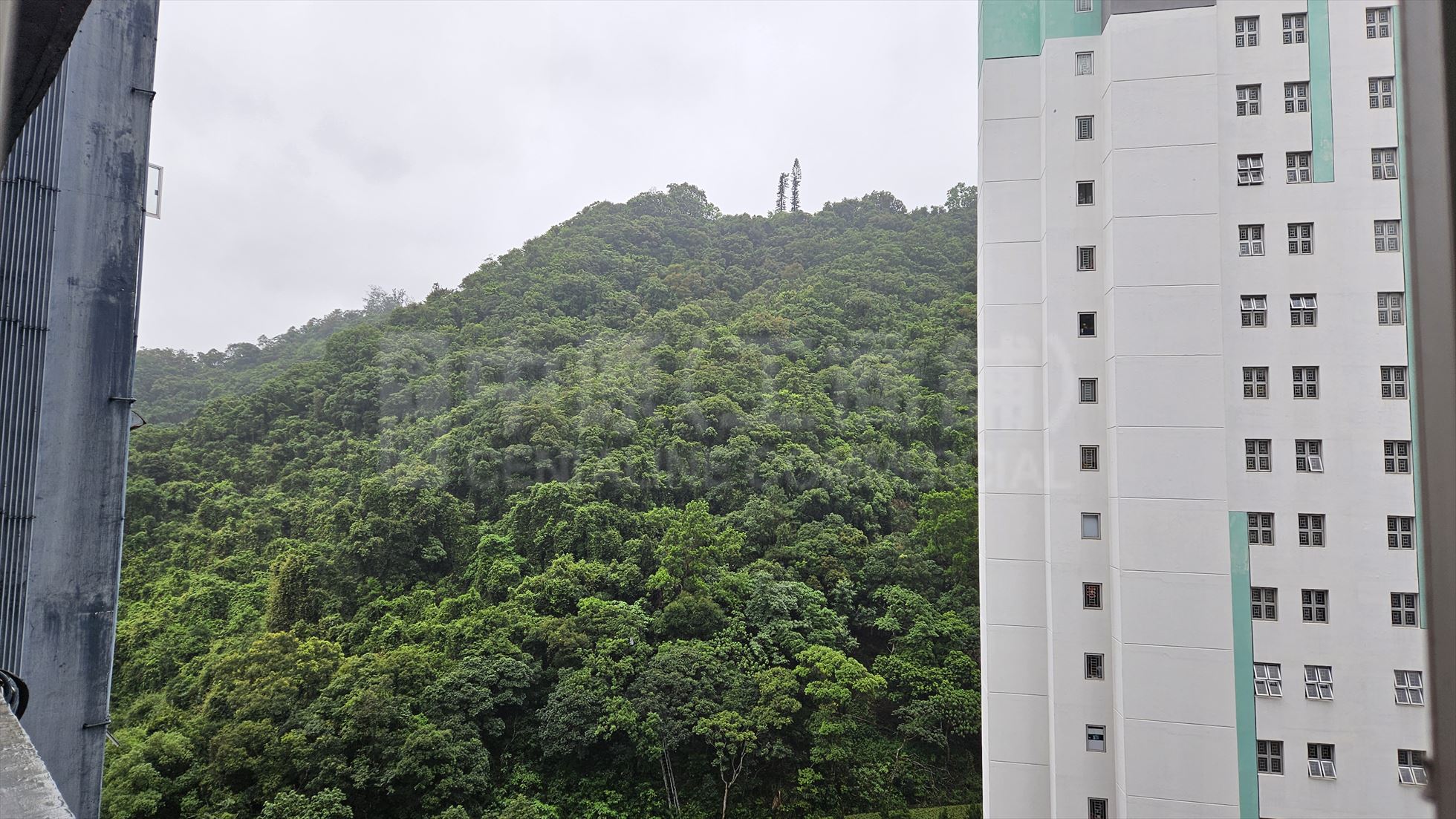 华联工业中心的相片资料｜工商楼盘｜中原工商铺