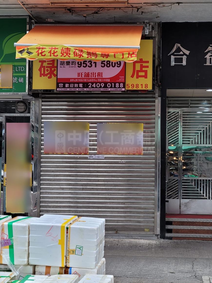 Photo materials about Yuen Long Hop Choi Street | Retail Listing | Centaline Commercial
