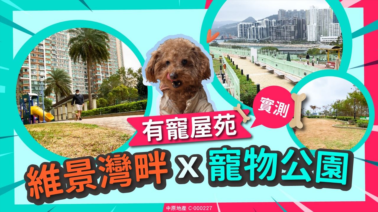 維景灣畔, Video