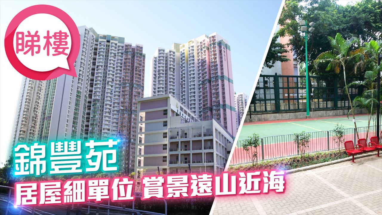 錦豐苑, 視頻