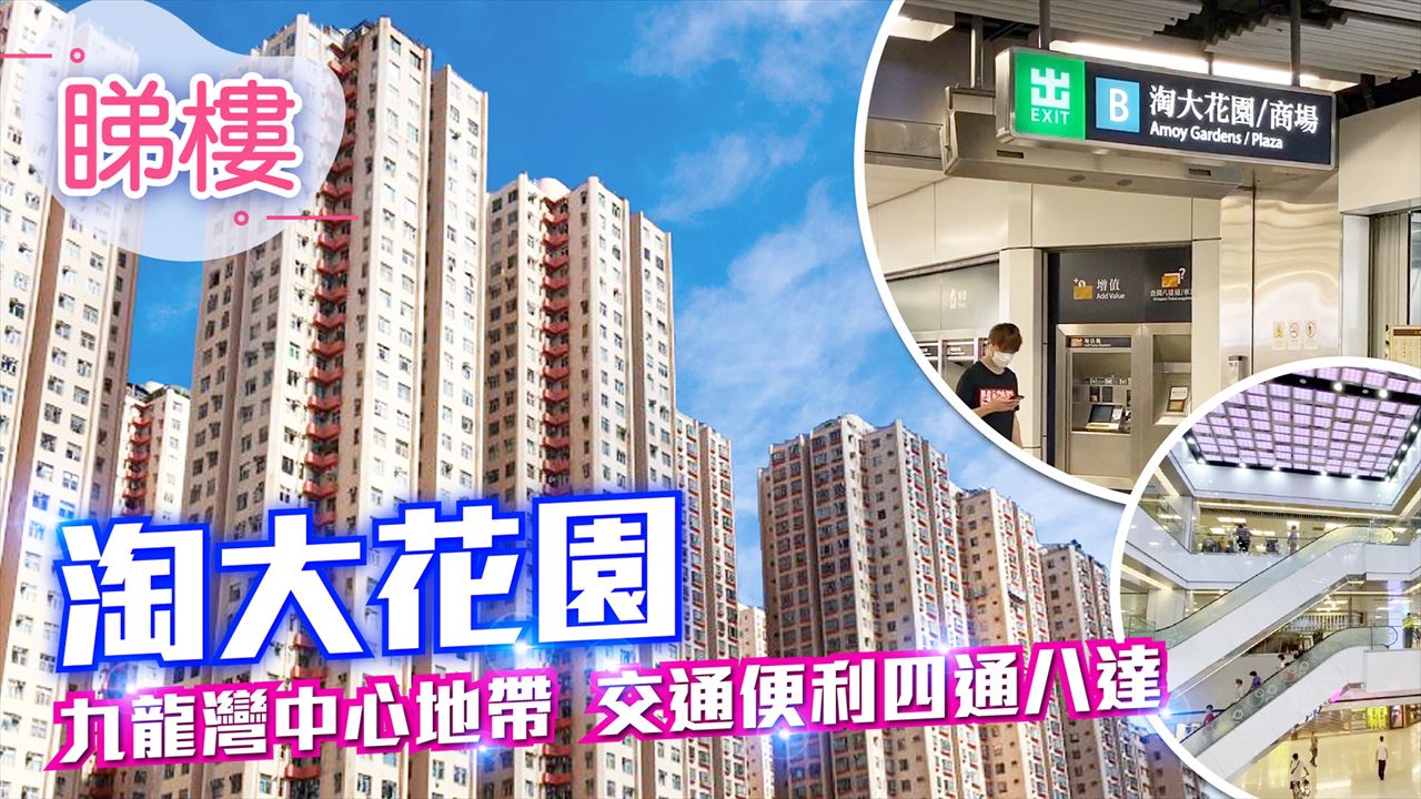 淘大花園, 視頻