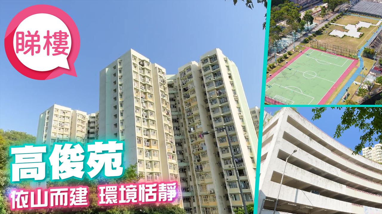 高俊苑, 視頻