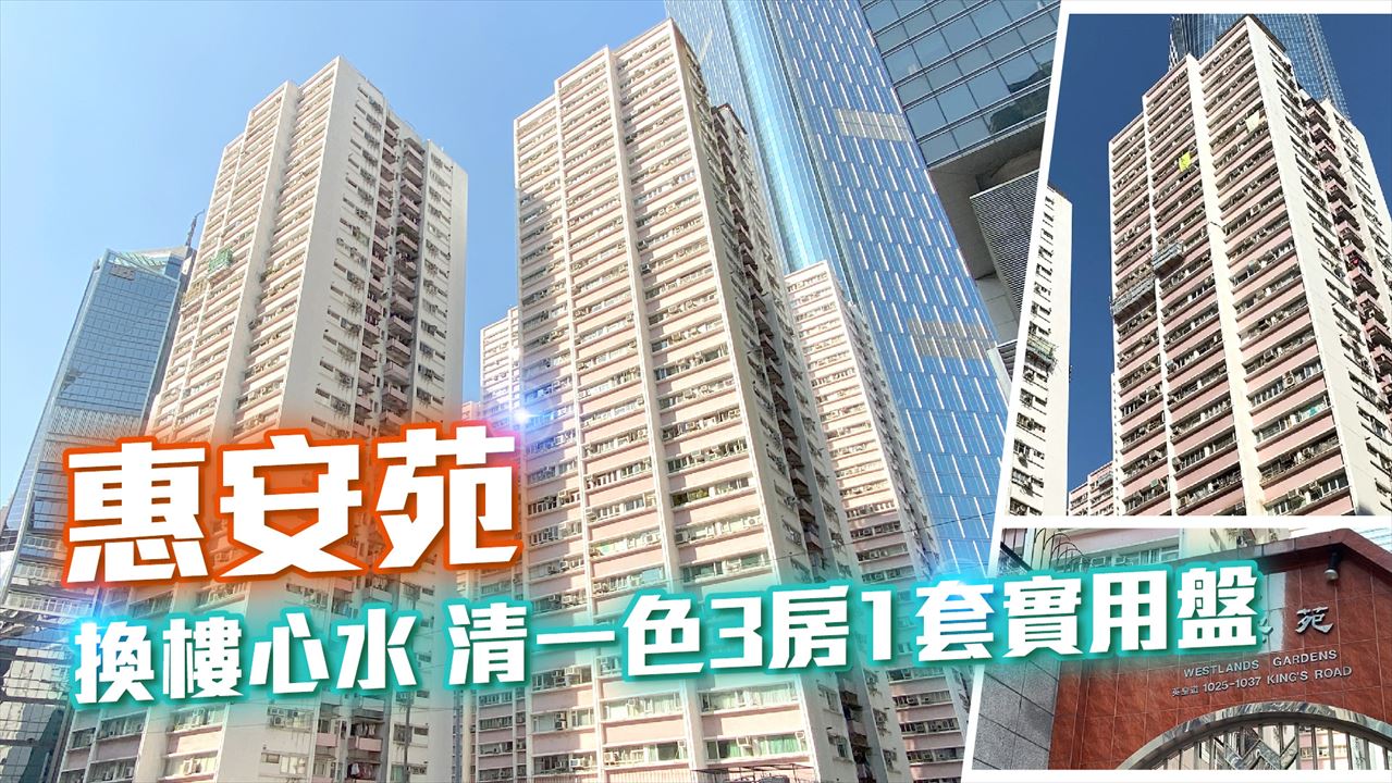 惠安苑, 視頻