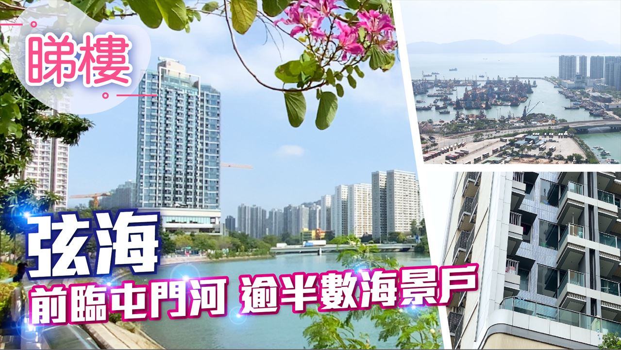 弦海, 视频