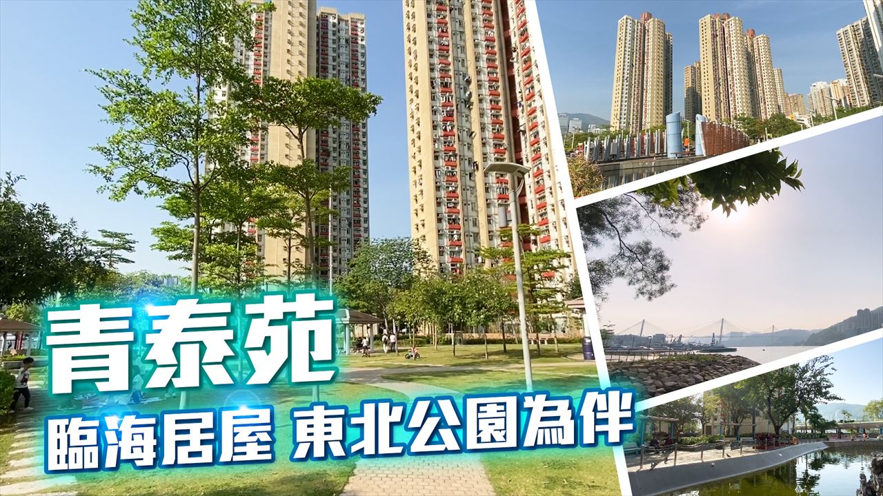 青泰苑, 视频