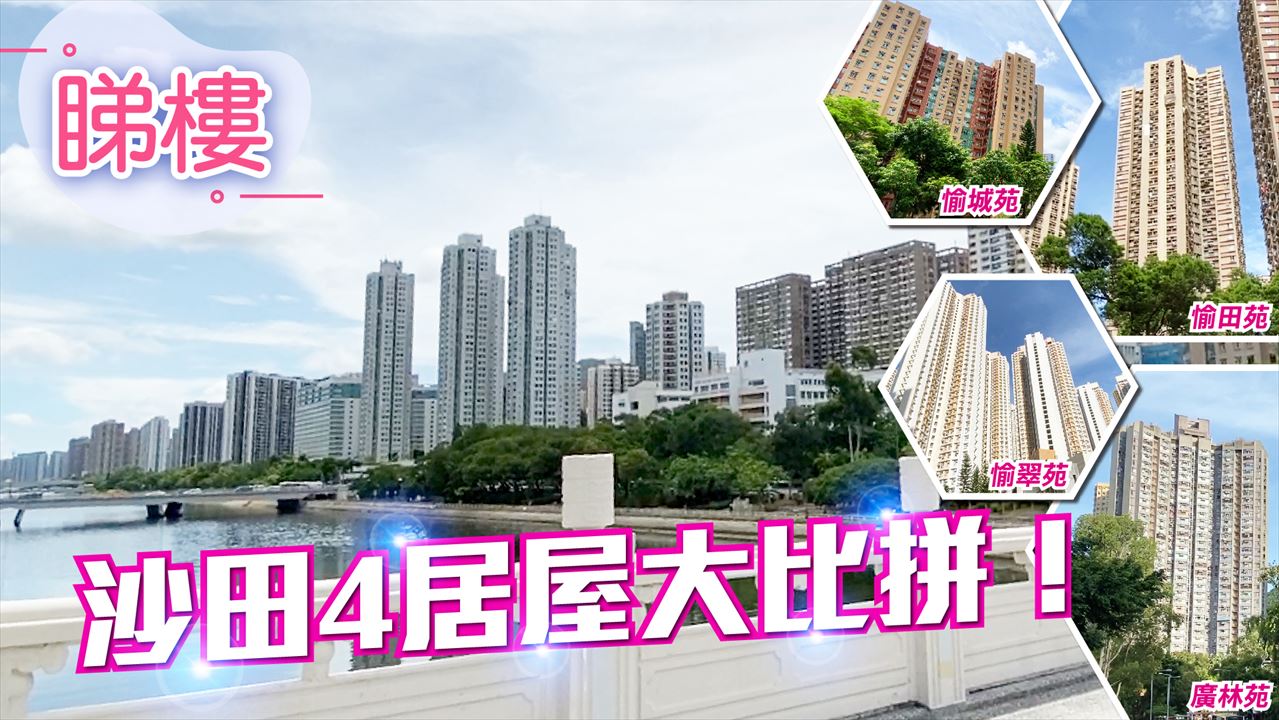 愉田苑, 视频