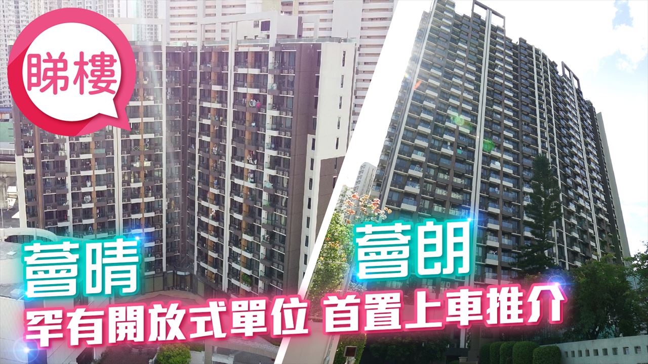 薈晴, 視頻