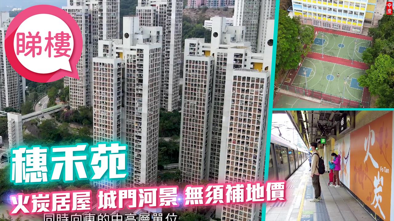 穗禾苑, 视频