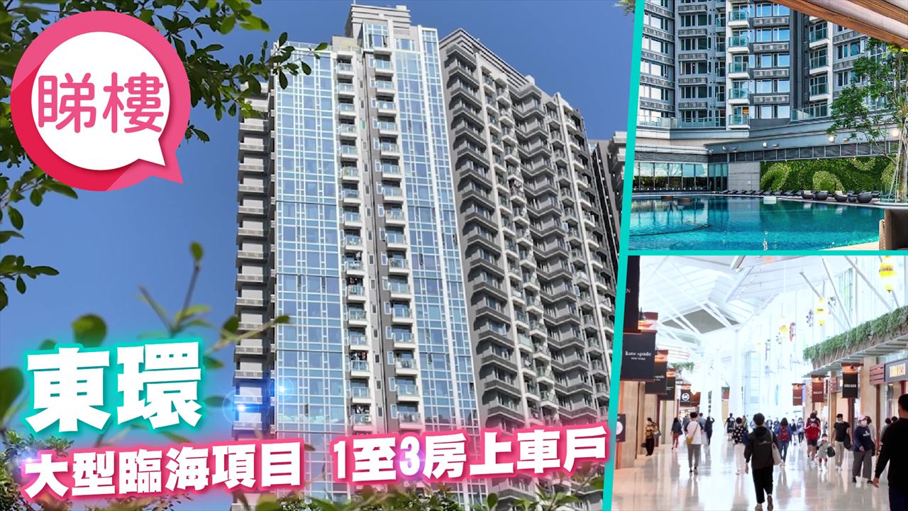 東環 1期, 視頻