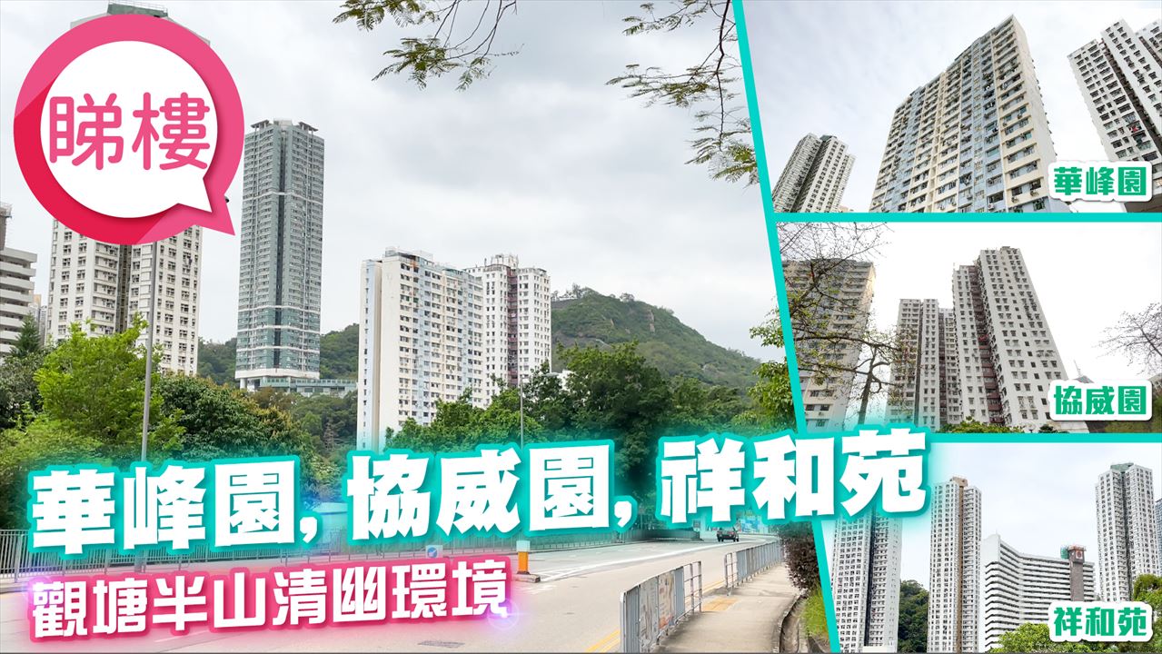 華峰園, 視頻