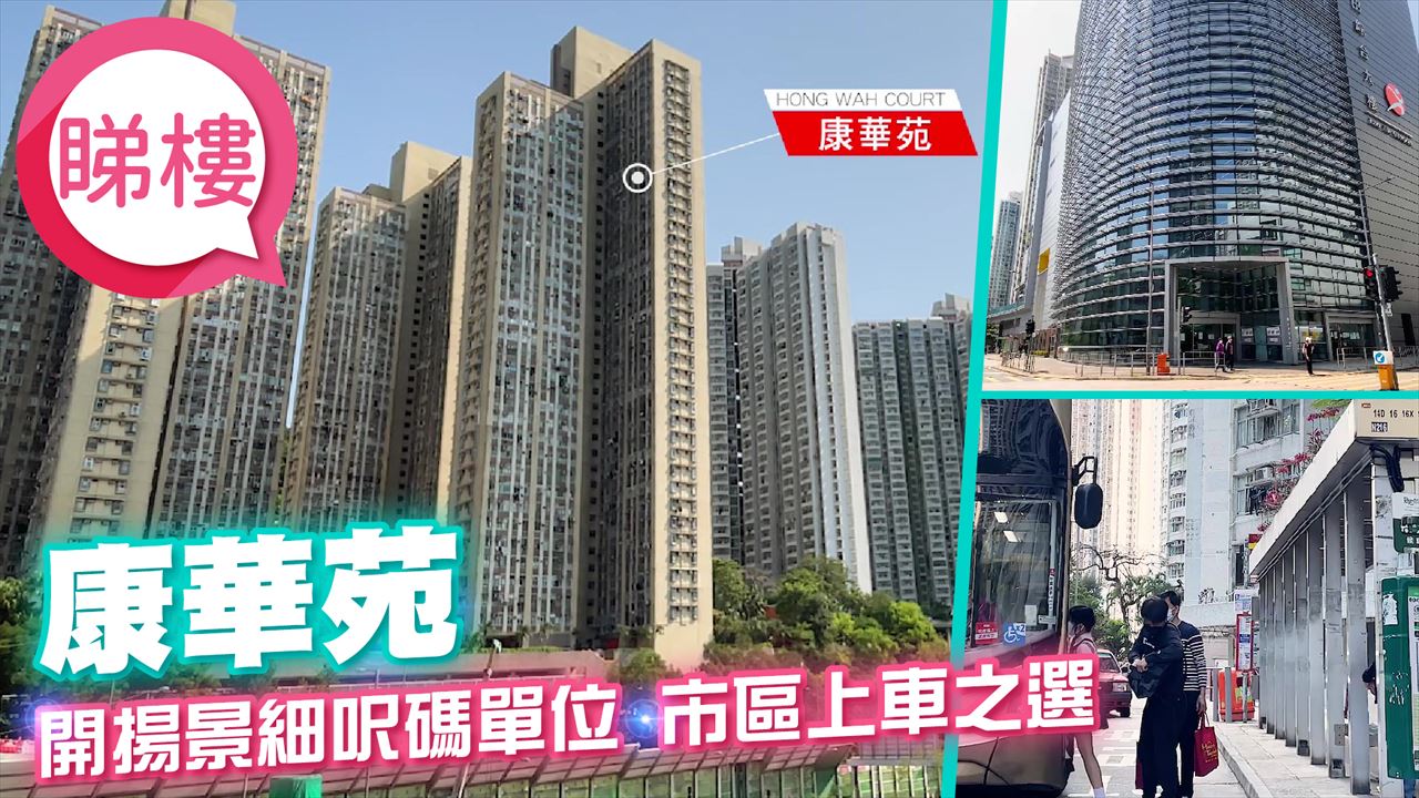 康華苑, 視頻