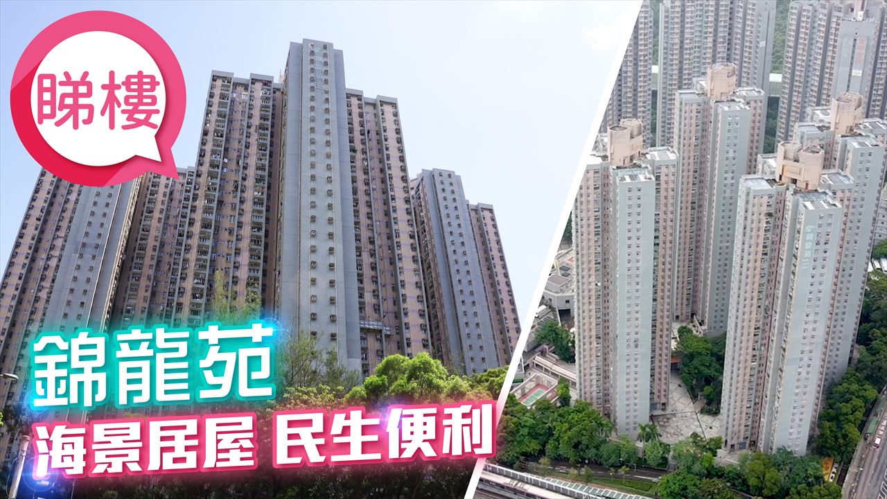 錦龍苑, 視頻