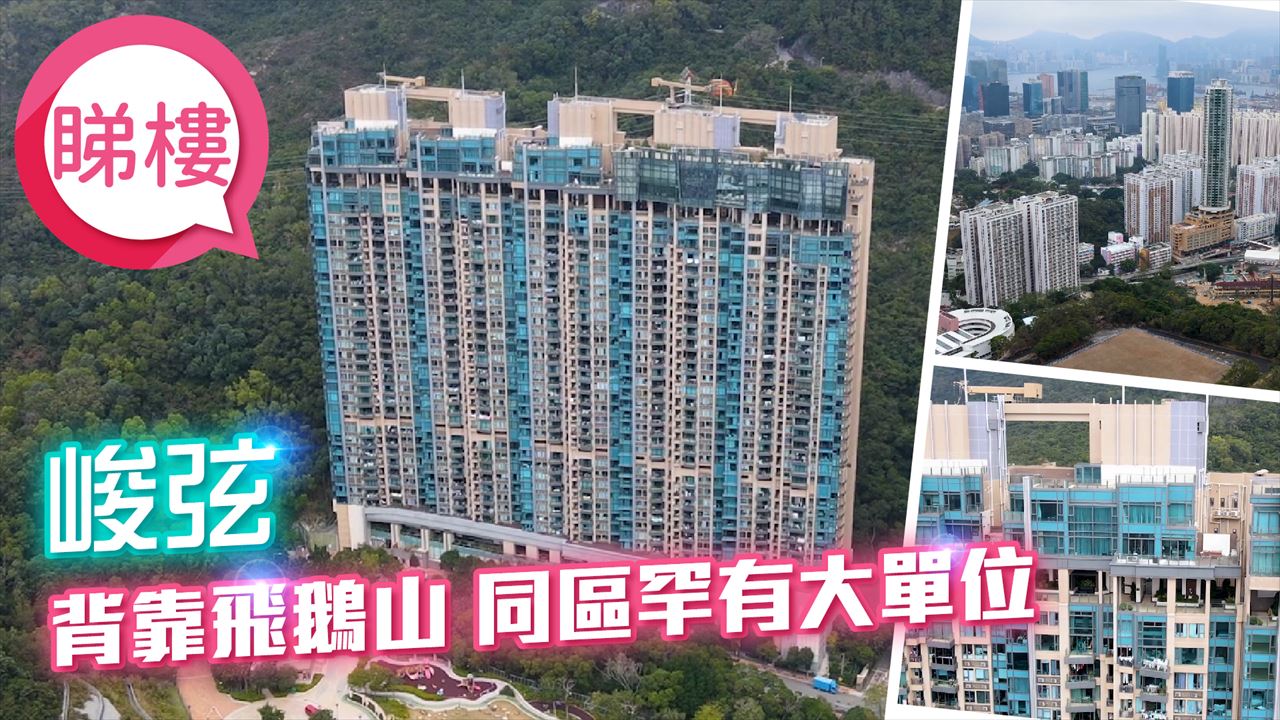 峻弦, 視頻