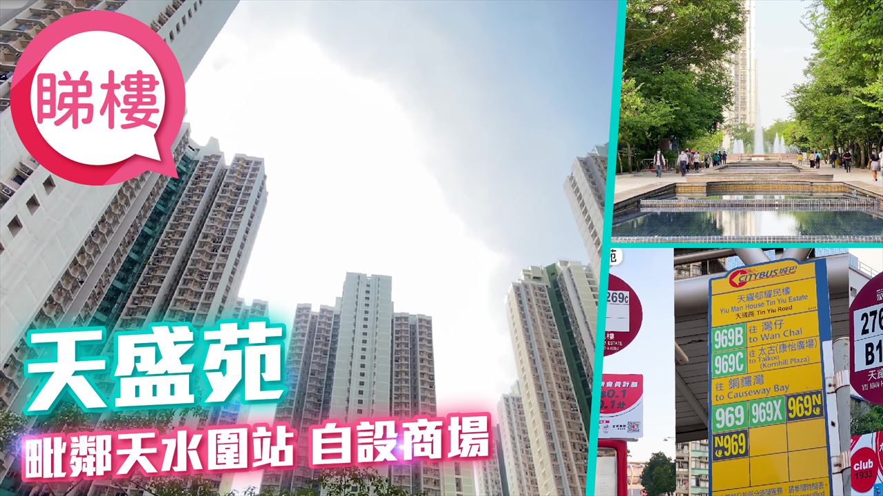 天盛苑, Video