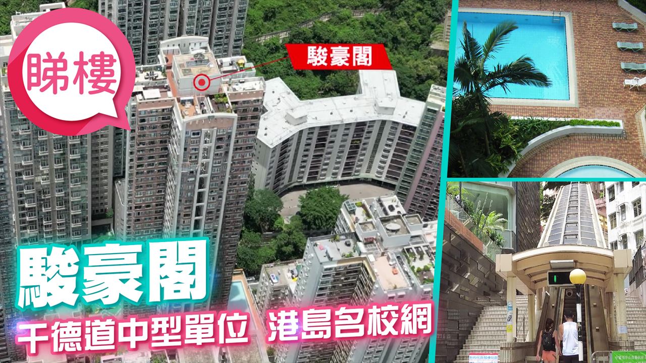 駿豪閣, 視頻