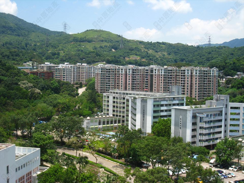 大埔墟|新峰花园 高层 c室|买楼 - 中原地产