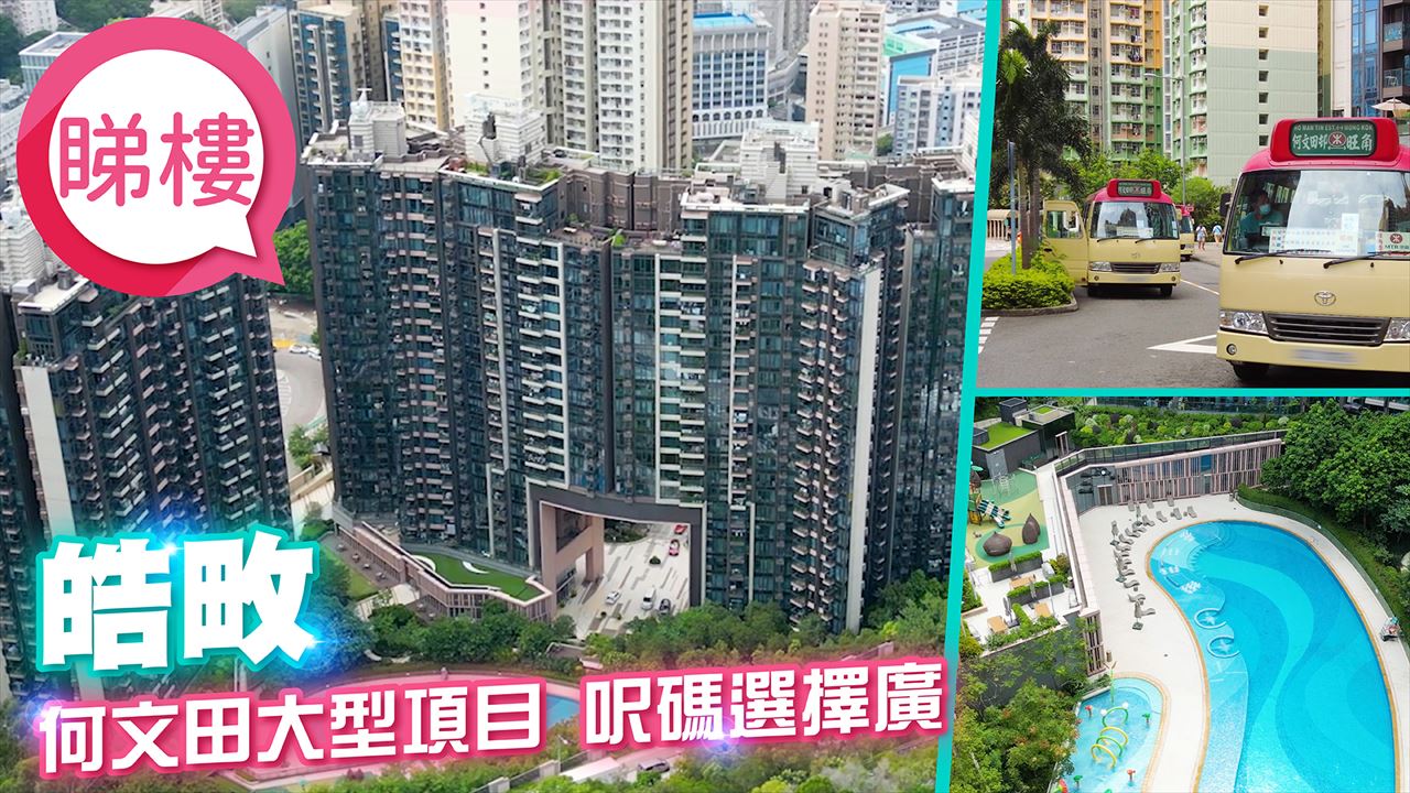 皓畋, 視頻