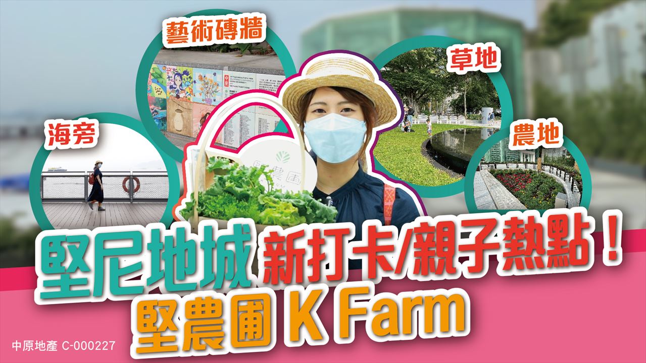 美菲閣, 視頻