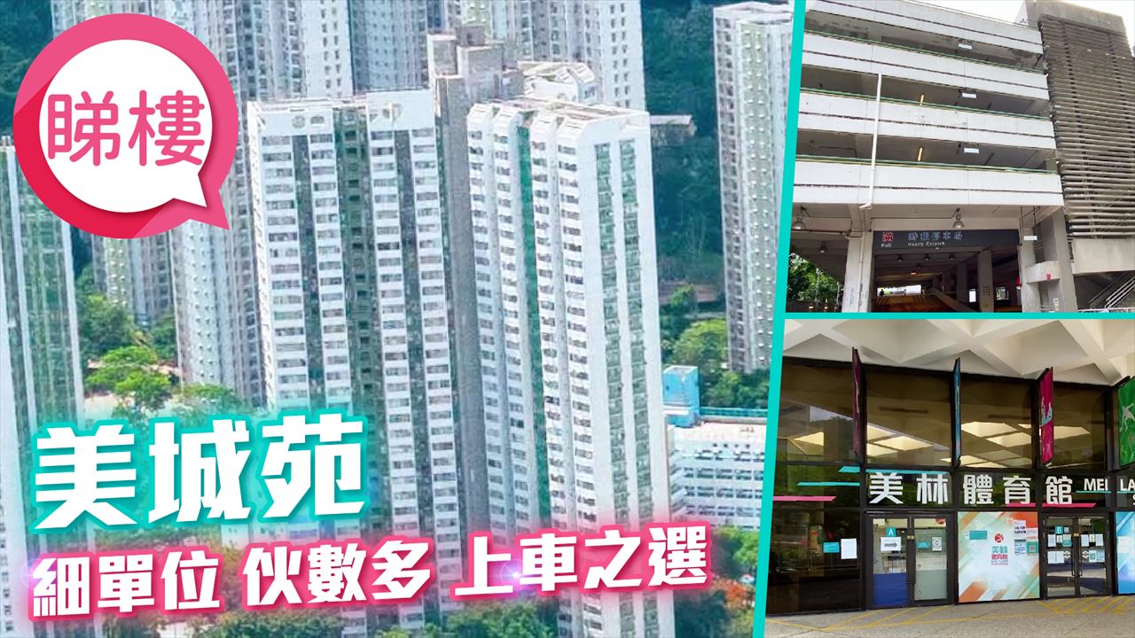 美城苑, 視頻