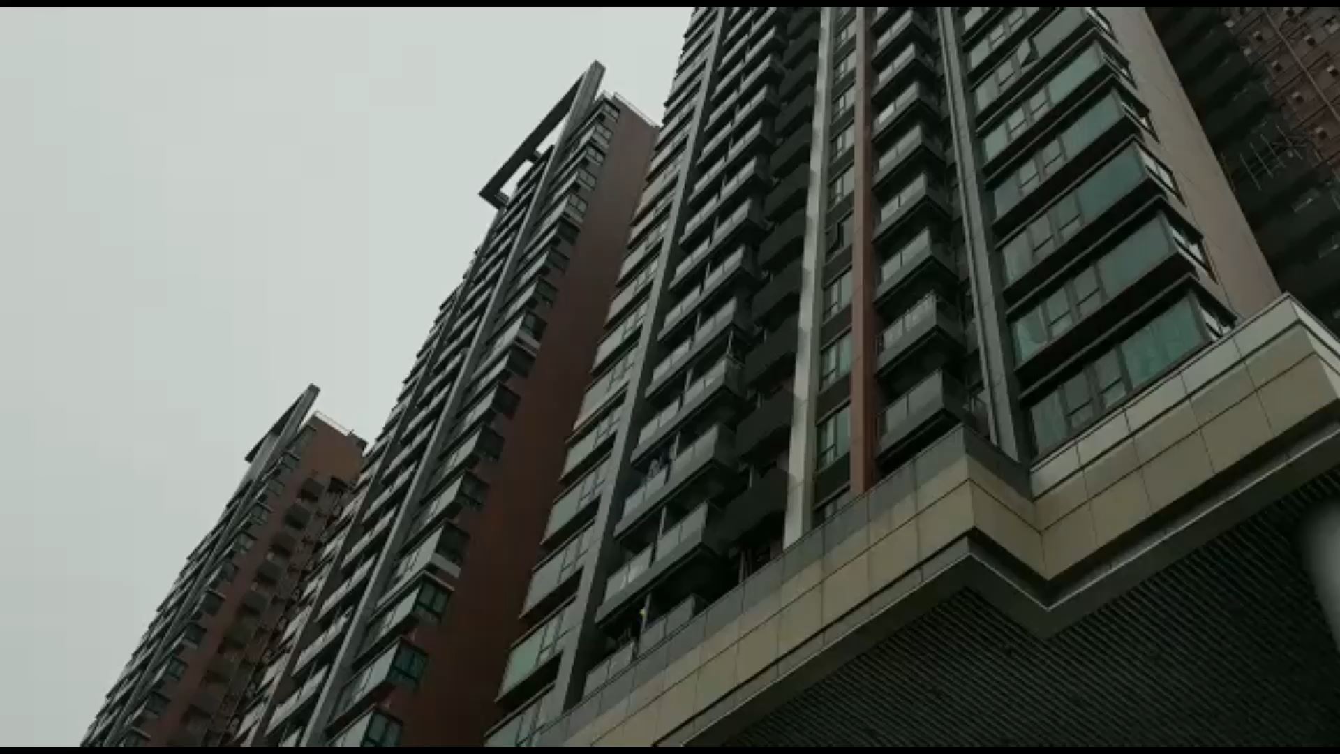尚豪庭, 视频