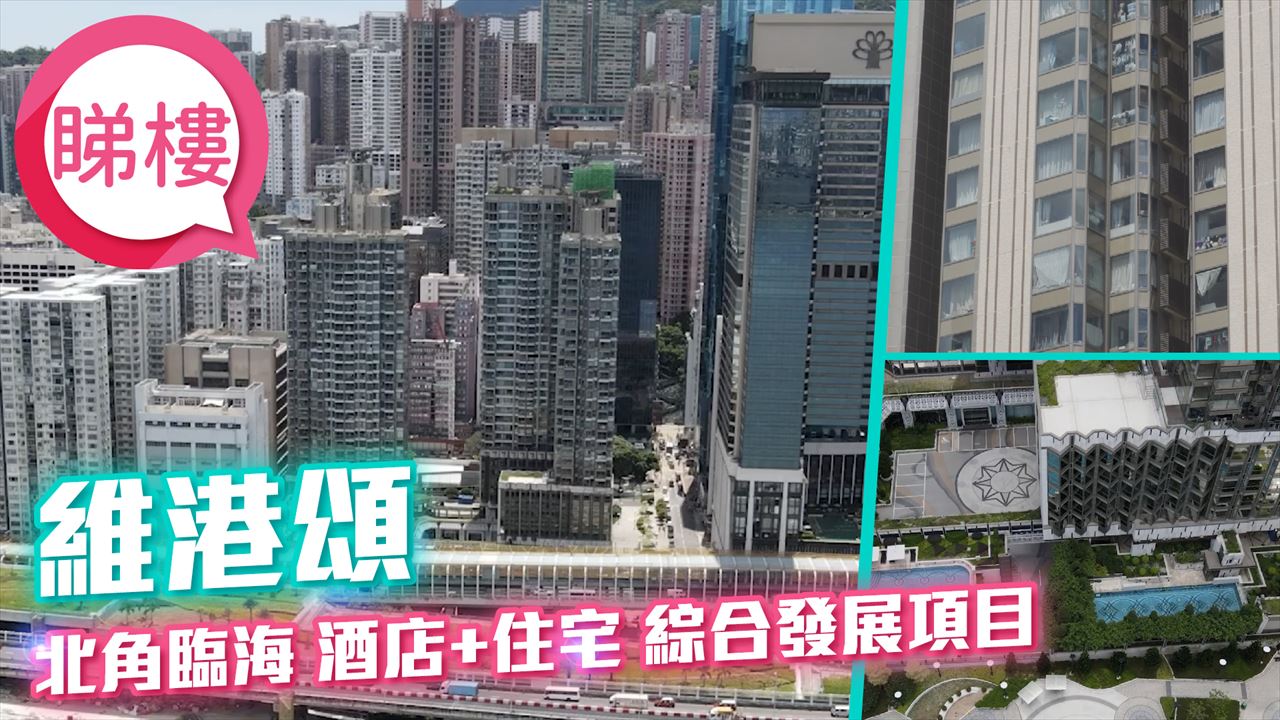 維港頌, 視頻