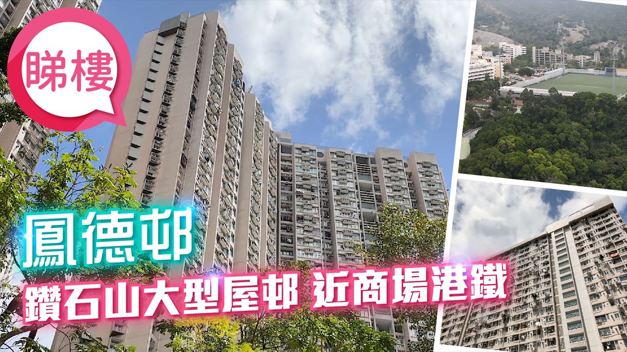 鳳德邨, 視頻