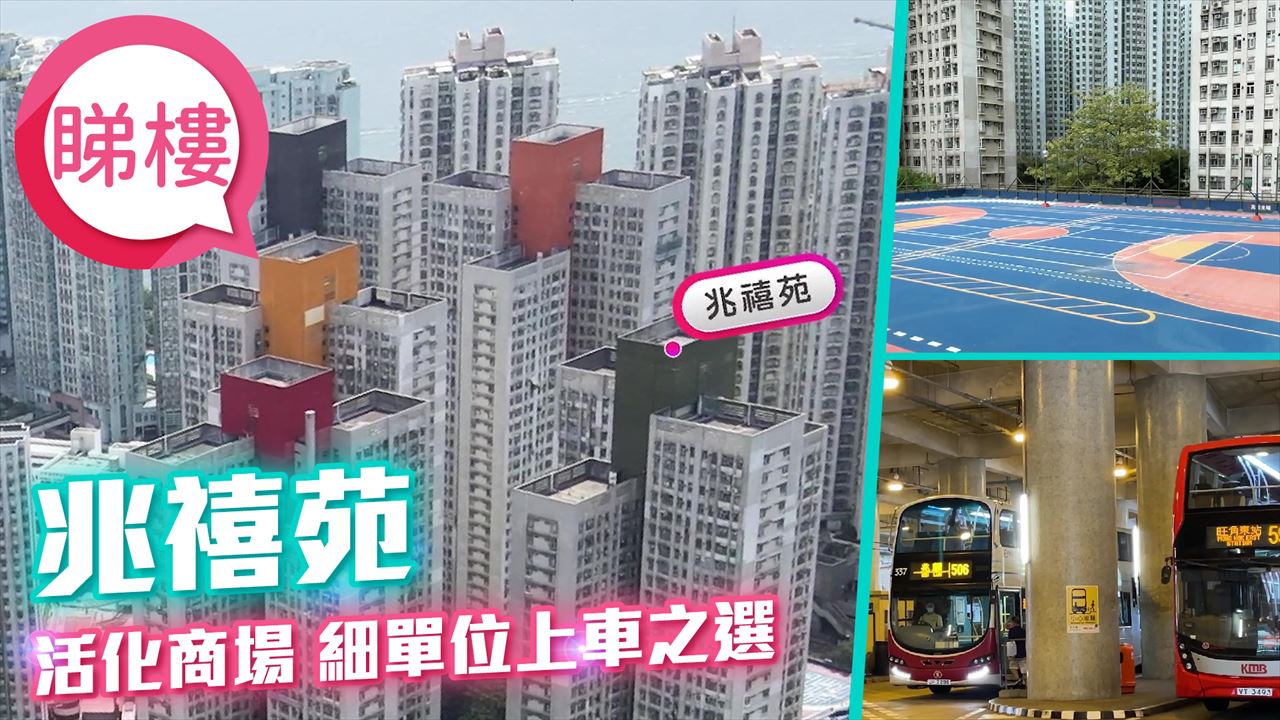 兆禧苑, 視頻