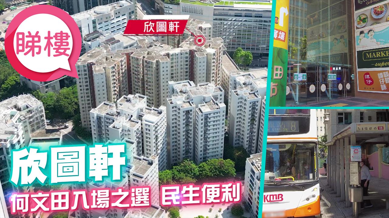 欣圖軒, 視頻
