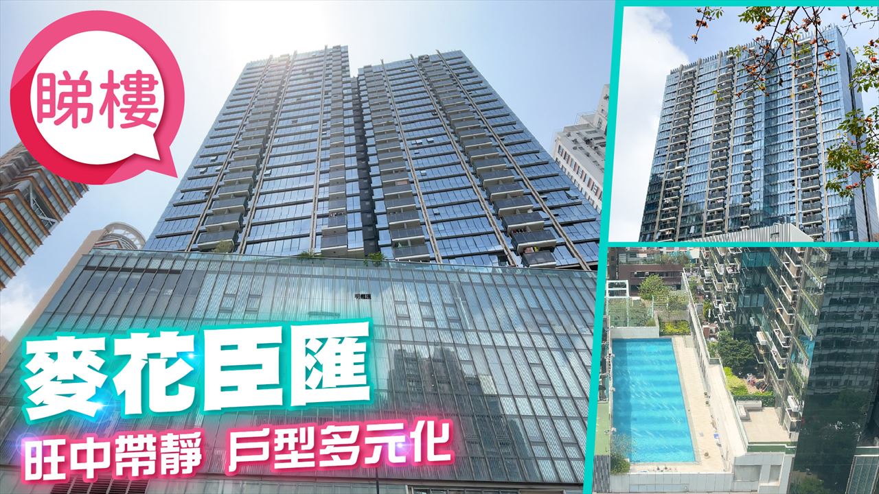 麦花臣汇, 视频