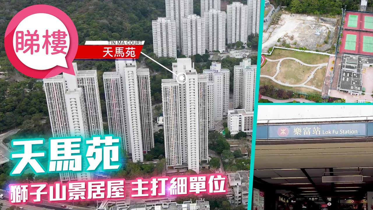天马苑, 视频