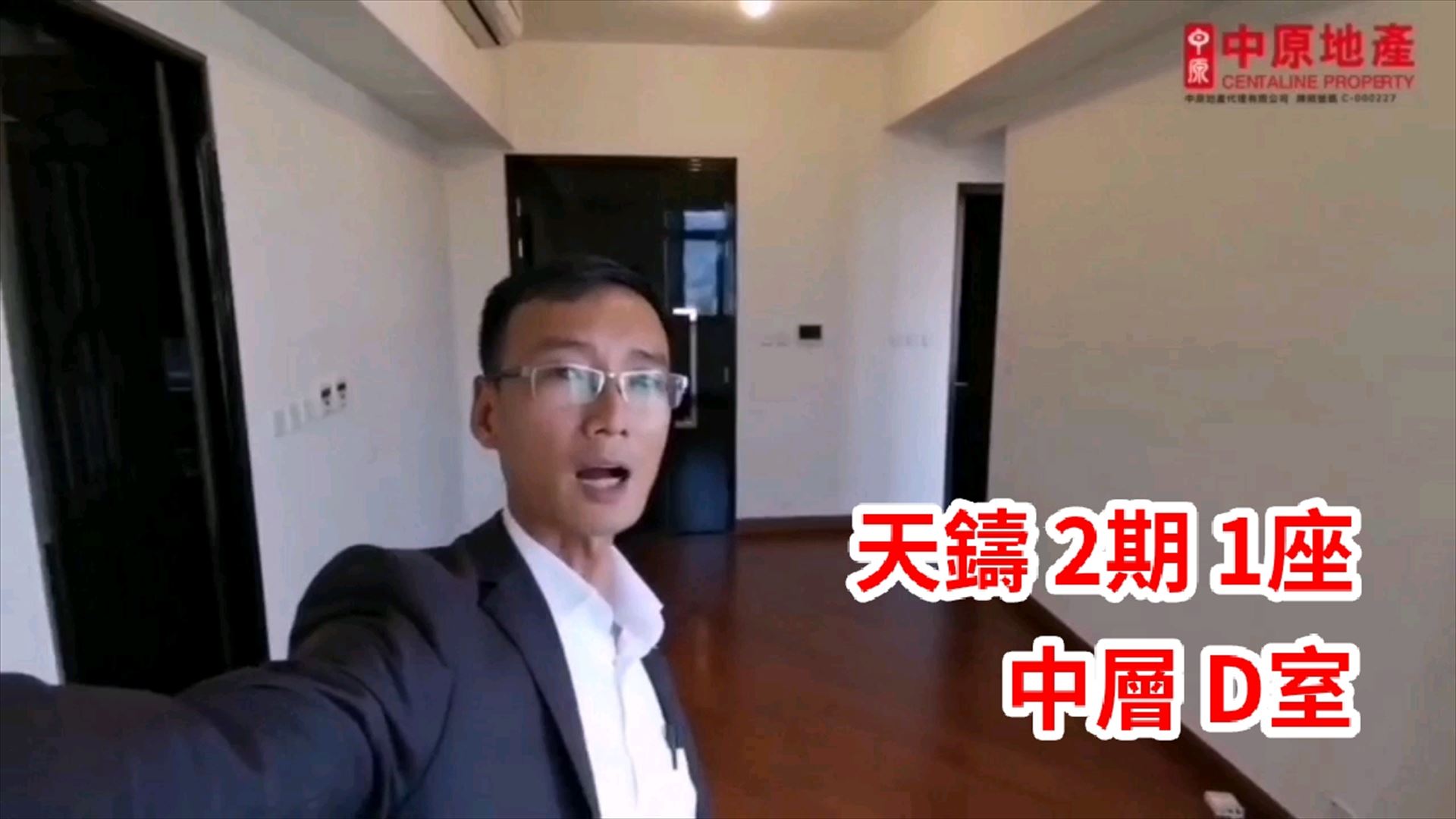 天铸, 视频