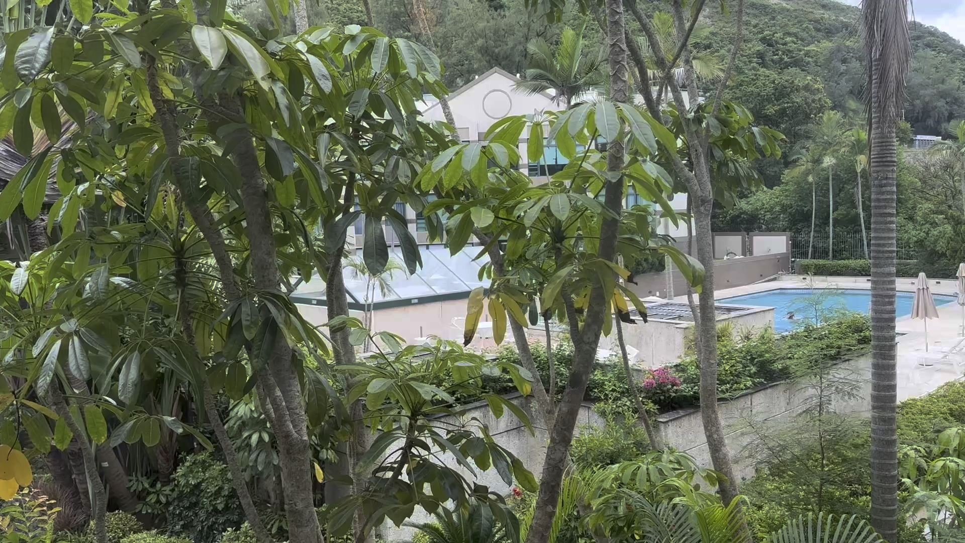 Stanford Villa, Video