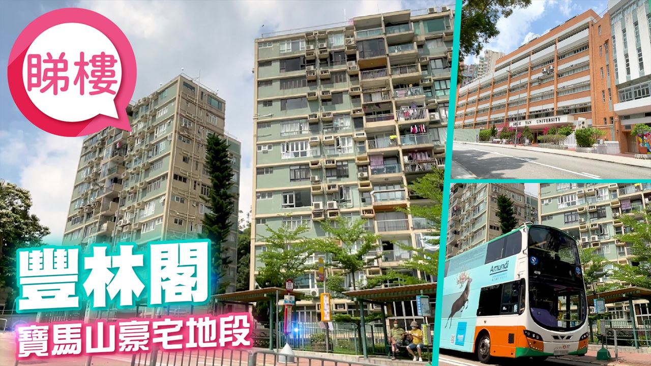 豐林閣, 視頻