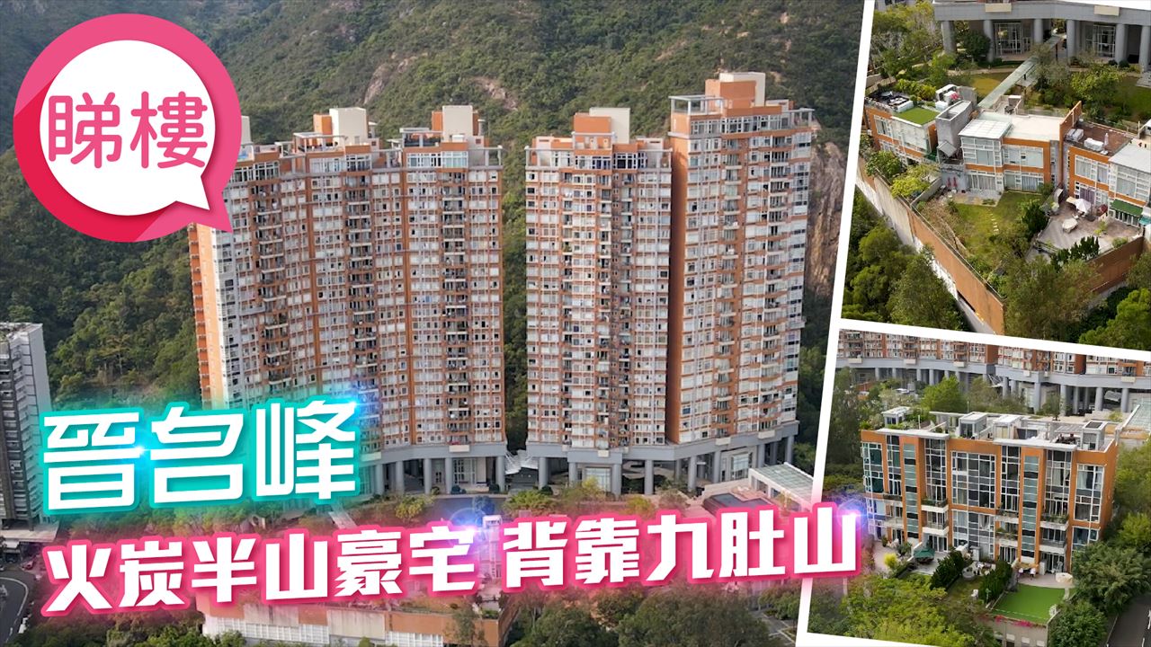 晉名峰, 視頻