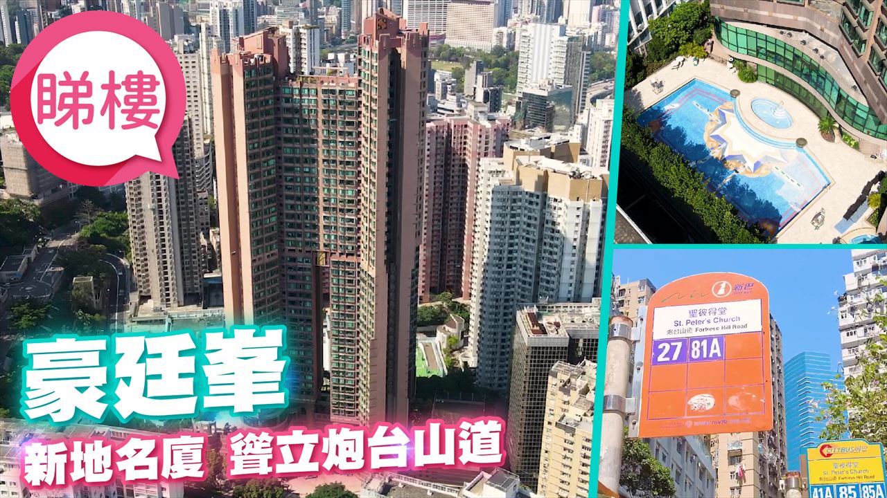 豪廷峰, 視頻