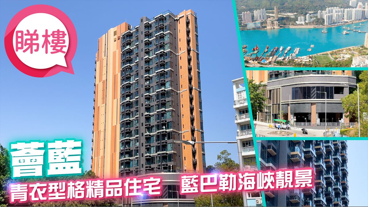 薈藍, 視頻