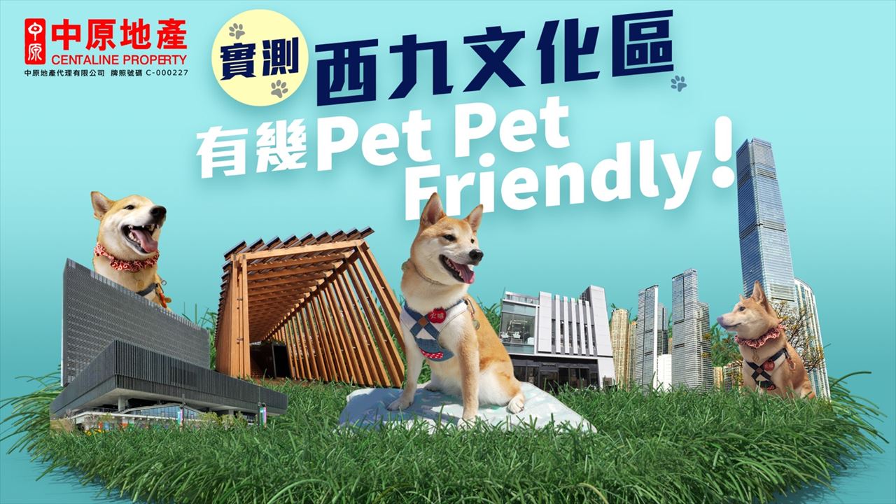富麗閣, 視頻